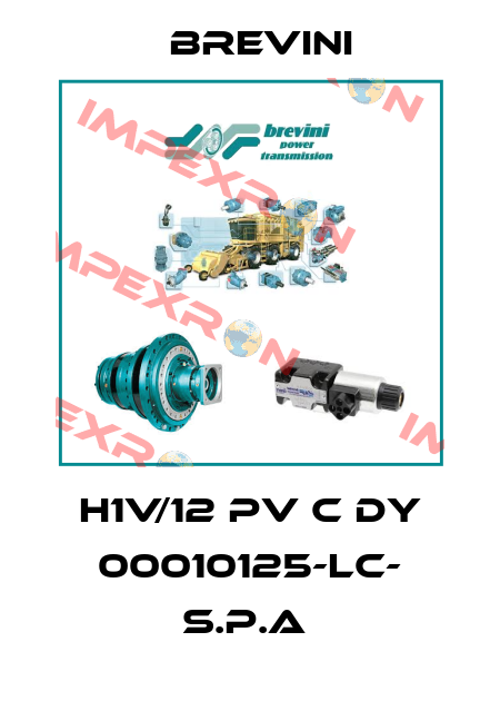 H1V/12 PV C DY 00010125-LC- S.P.A  Brevini