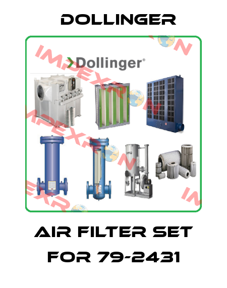Air filter set for 79-2431 DOLLINGER