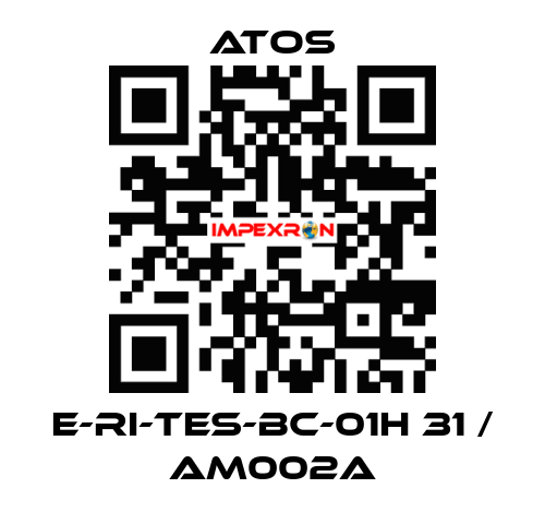 E-RI-TES-BC-01H 31 / AM002A Atos