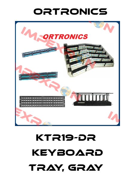 KTR19-DR  Keyboard Tray, Gray  Ortronics