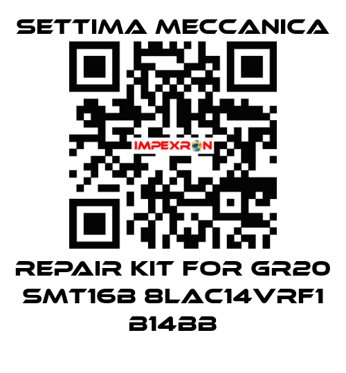 Repair kit for GR20 SMT16B 8LAC14VRF1 B14BB Settima Meccanica
