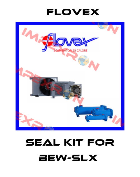 Seal kit for BEW-SLX  Flovex