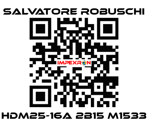HDM25-16A 2B15 M1533 SALVATORE ROBUSCHI