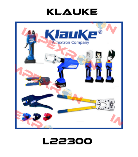 L22300  Klauke