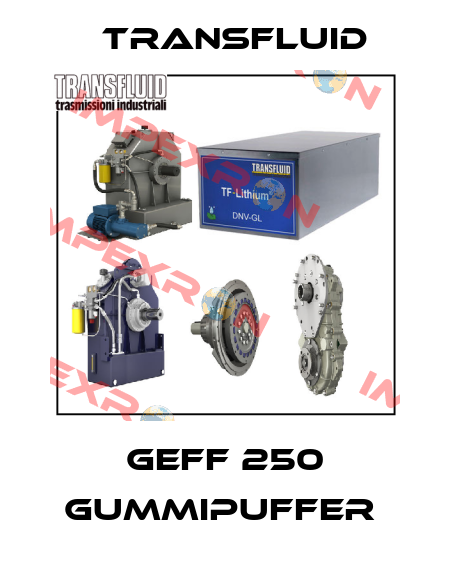 GEFF 250 Gummipuffer  Transfluid