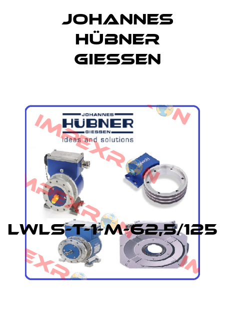 LWLS-T-1-M-62,5/125 Johannes Hübner Giessen