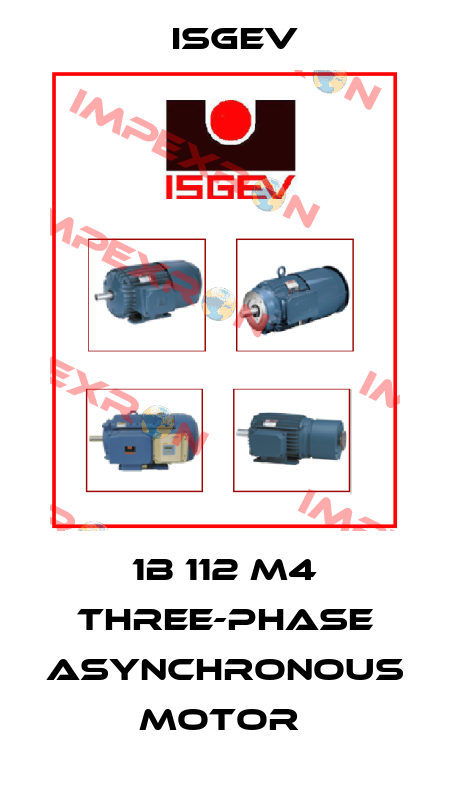 1B 112 M4 THREE-PHASE ASYNCHRONOUS MOTOR  Isgev