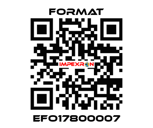 EFO17800007 Format