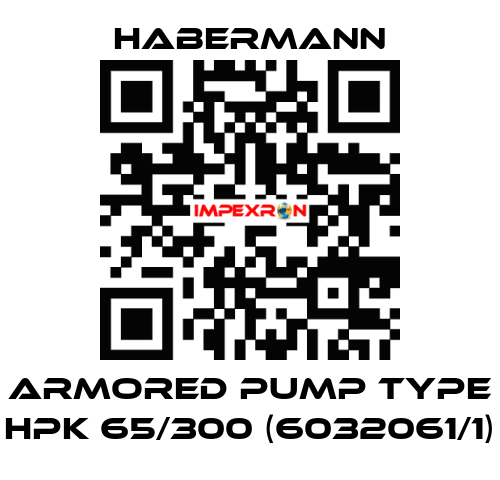 Armored pump type HPK 65/300 (6032061/1) HABERMANN