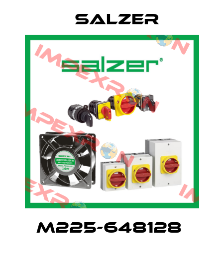 M225-648128  Salzer