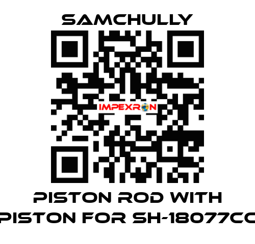 Piston rod with piston for SH-18077CC Samchully