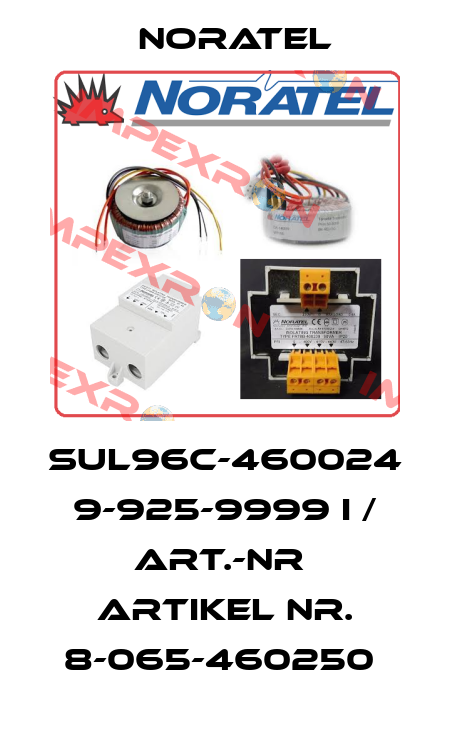 SUL96C-460024  9-925-9999 I / Art.-Nr  Artikel Nr. 8-065-460250  Noratel