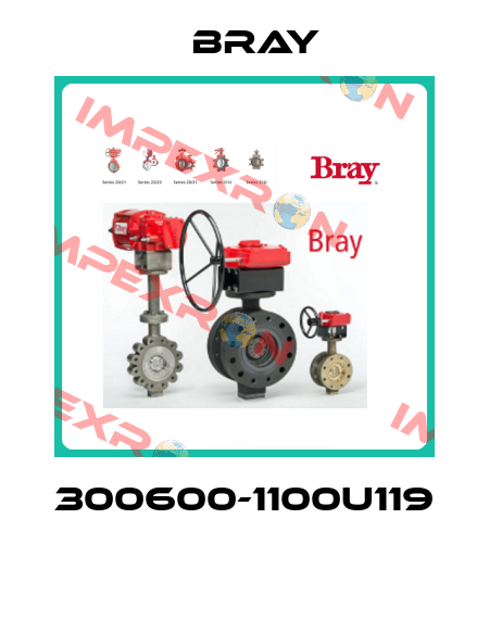 300600-1100U119  Bray