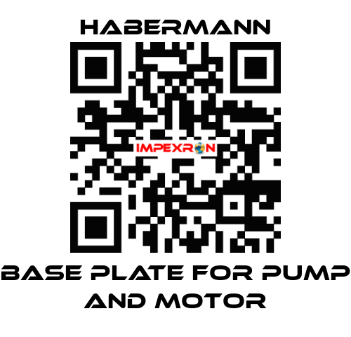 Base plate for pump and motor HABERMANN