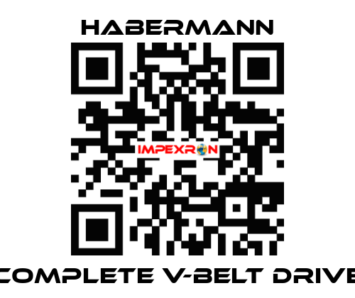 Complete V-belt drive HABERMANN
