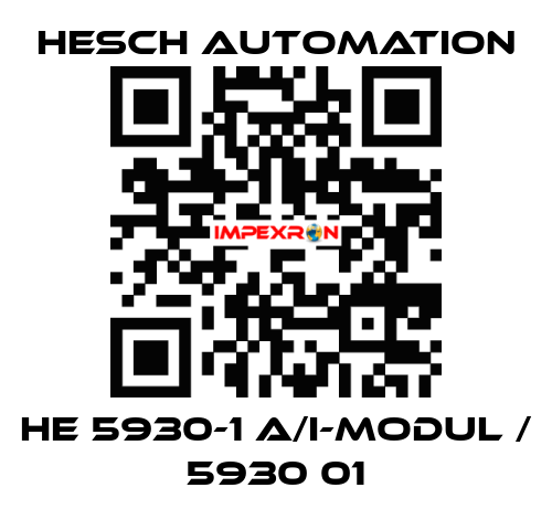 HE 5930-1 A/I-Modul / 5930 01 Hesch Automation