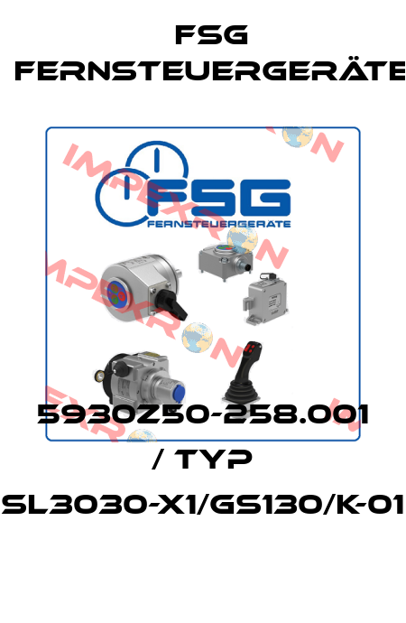 5930Z50-258.001 / Typ SL3030-X1/GS130/K-01 FSG Fernsteuergeräte