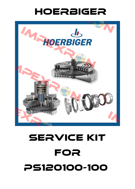 Service kit for PS120100-100  Hoerbiger