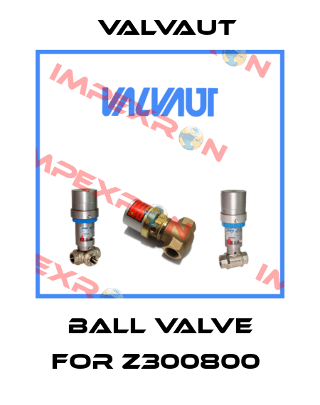 ball valve for Z300800  Valvaut