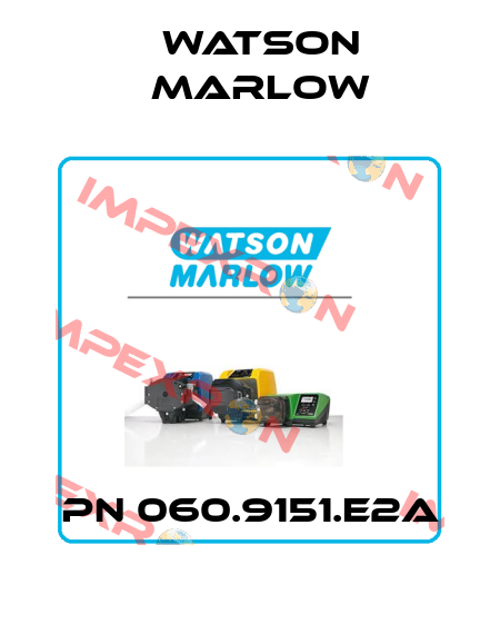 PN 060.9151.E2A Watson Marlow