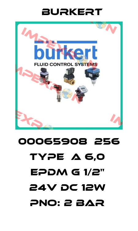 00065908  256 TYPE  A 6,0  EPDM G 1/2"  24V DC 12W  PNO: 2 BAR  Burkert