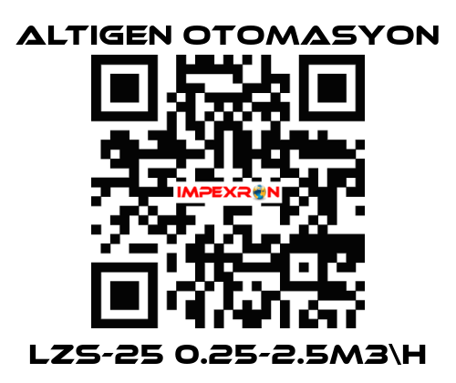 LZS-25 0.25-2.5m3\h Altıgen Otomasyon