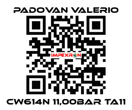 CW614N 11,00BAR TA11 PADOVAN VALERIO