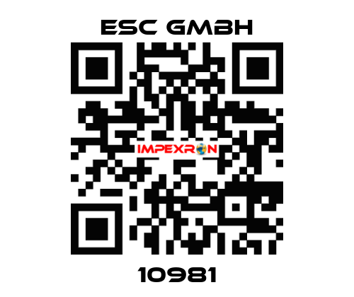 10981 ESC GmbH