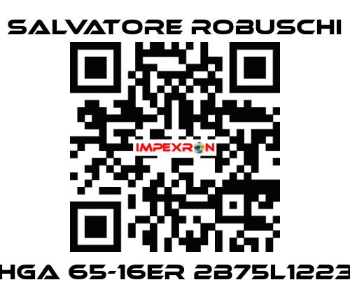 HGA 65-16ER 2B75L1223 SALVATORE ROBUSCHI