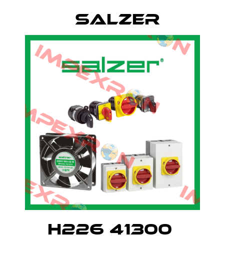 h226 41300  Salzer