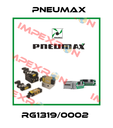 RG1319/0002  Pneumax