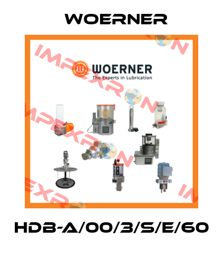 HDB-A/00/3/S/E/60 Woerner