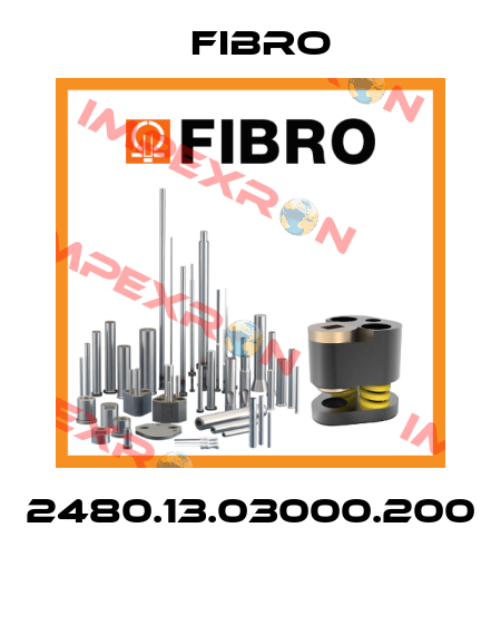 2480.13.03000.200  Fibro
