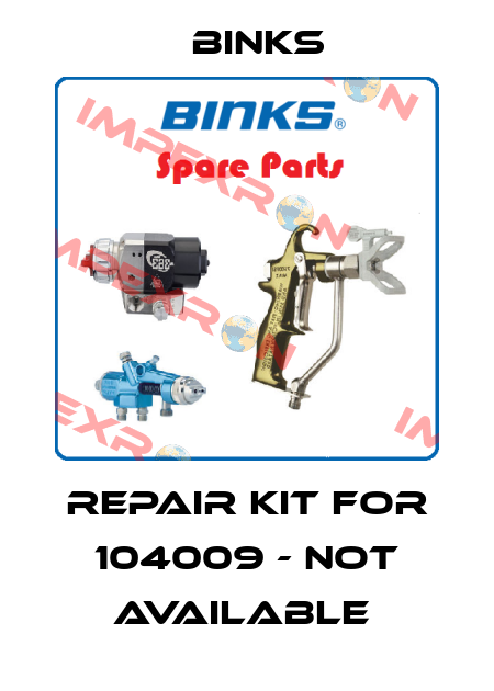 Repair kit for 104009 - not available  Binks