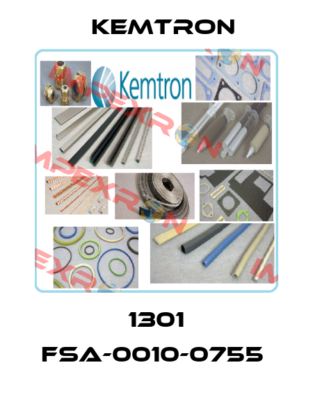 1301 FSA-0010-0755  KEMTRON