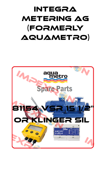 81154 VSR 15 1/2" OR Klinger Sil  Integra Metering AG (formerly Aquametro)