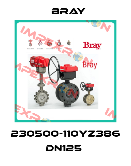 230500-110YZ386 DN125  Bray