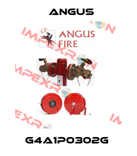 G4A1P0302G  Angus