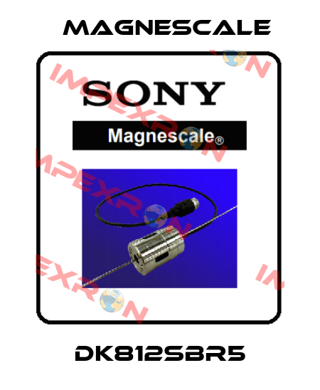 DK812SBR5 Magnescale