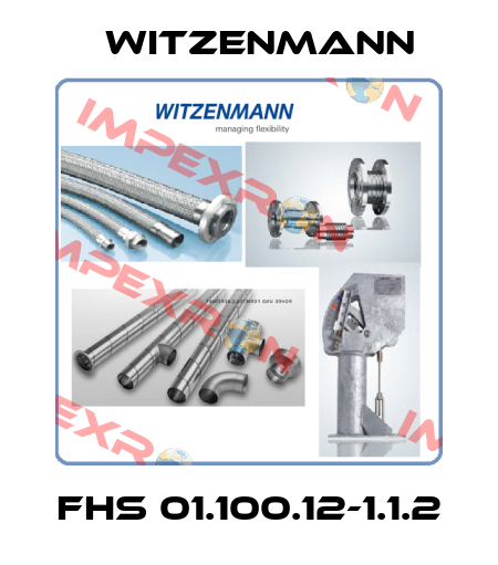 FHS 01.100.12-1.1.2 Witzenmann