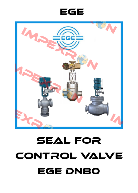 Seal for Control Valve EGE DN80 Ege