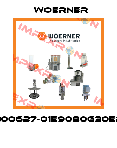 300627-01E9080G30EP  Woerner