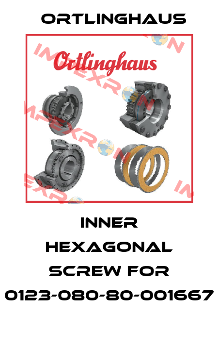 Inner hexagonal Screw for 0123-080-80-001667  Ortlinghaus