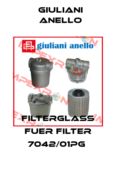 Filterglass fuer Filter 7042/01PG  Giuliani Anello