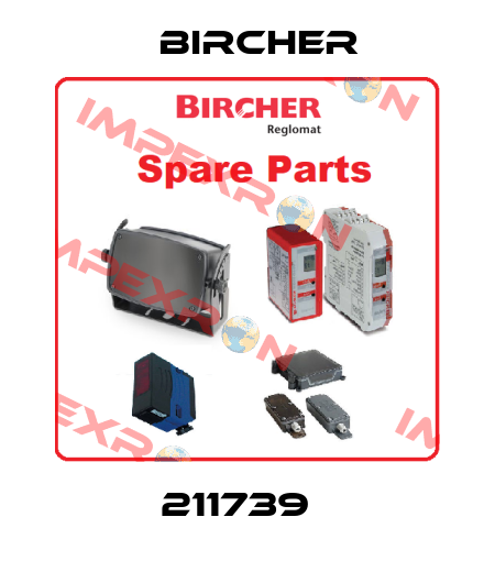 211739   Bircher