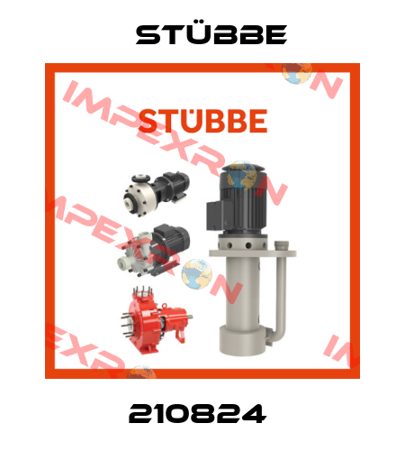 210824  Stübbe
