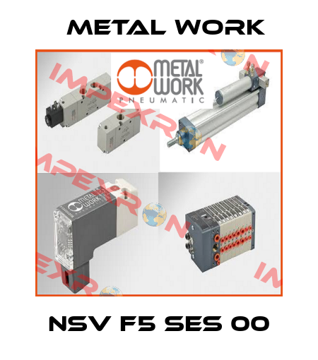 NSV F5 SES 00 Metal Work