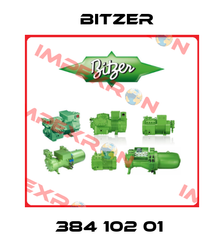 384 102 01  Bitzer