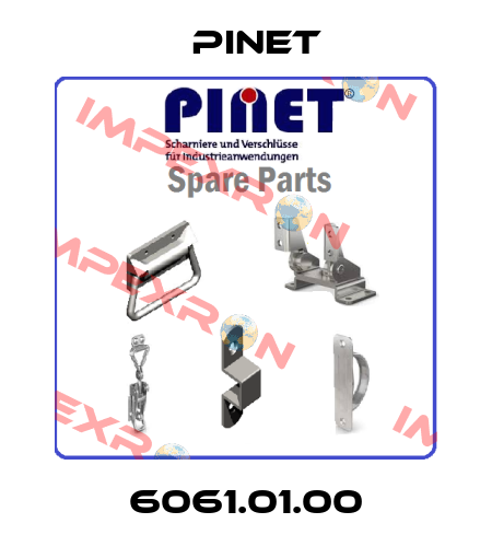 6061.01.00 Pinet