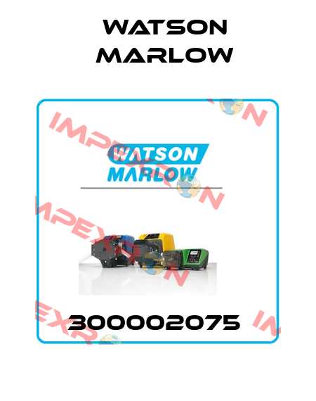 300002075  Watson Marlow